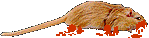 [gerbil without any flippers]