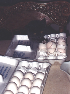 [pic]